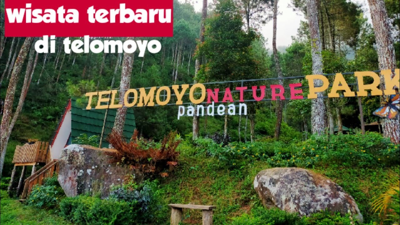 Telomoyo Nature Park: Menjelajahi Keindahan Alam di Lereng Merapi